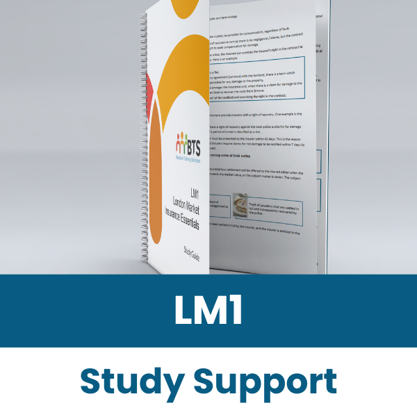 LM1 Study Support